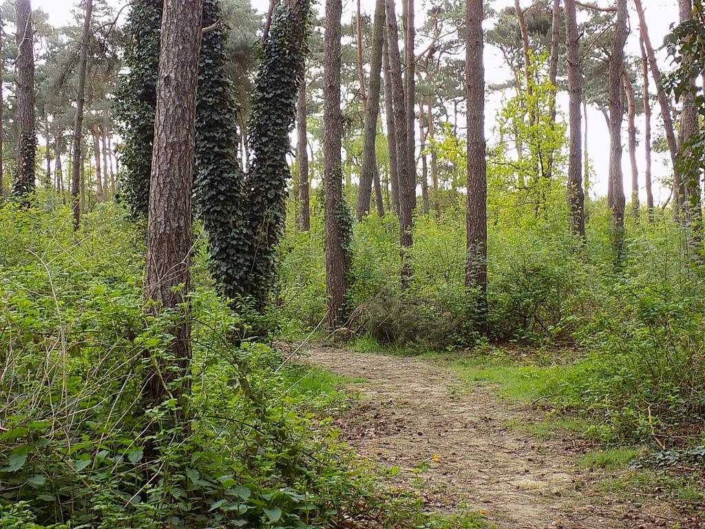 Verblijfpark De Brem Lille Exterior photo